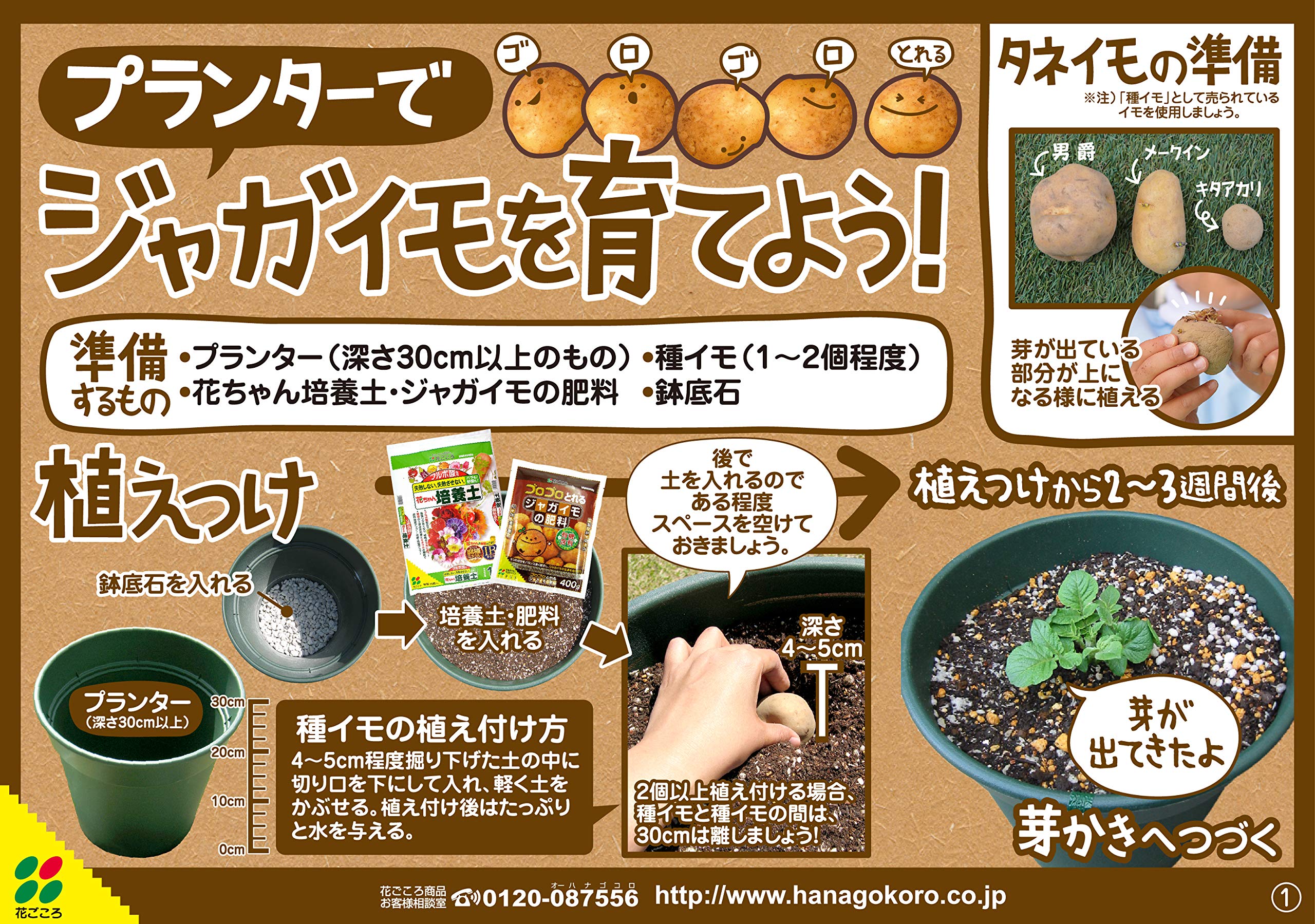 Amazon.co.jp: 花ごころ ジャガイモの肥料 400g : DIY・工具・ガーデン